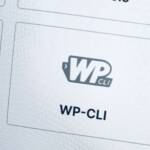 wp_cli_screenshot_WordPress_Command_Line